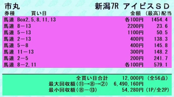 市丸博司さんの「アイビスサマーダッシュGⅢ」の買い目